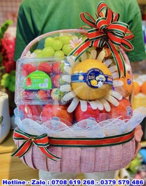 Giỏ Trái Cây Nhập Khẩu 10